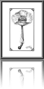 Matchbox Flower - 1996