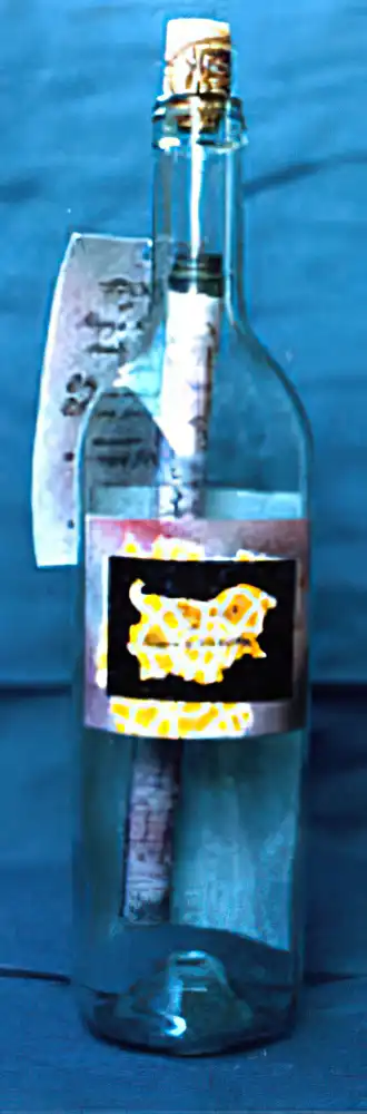 Maria Kaneva - Message in a bottle